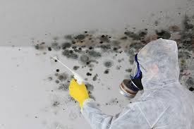 Mold Removal for HVAC Installations in Berwyn Heights, MD